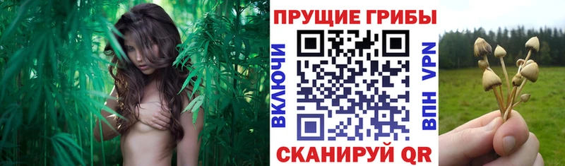 мега онион  Бирск  Галлюциногенные грибы мухоморы 